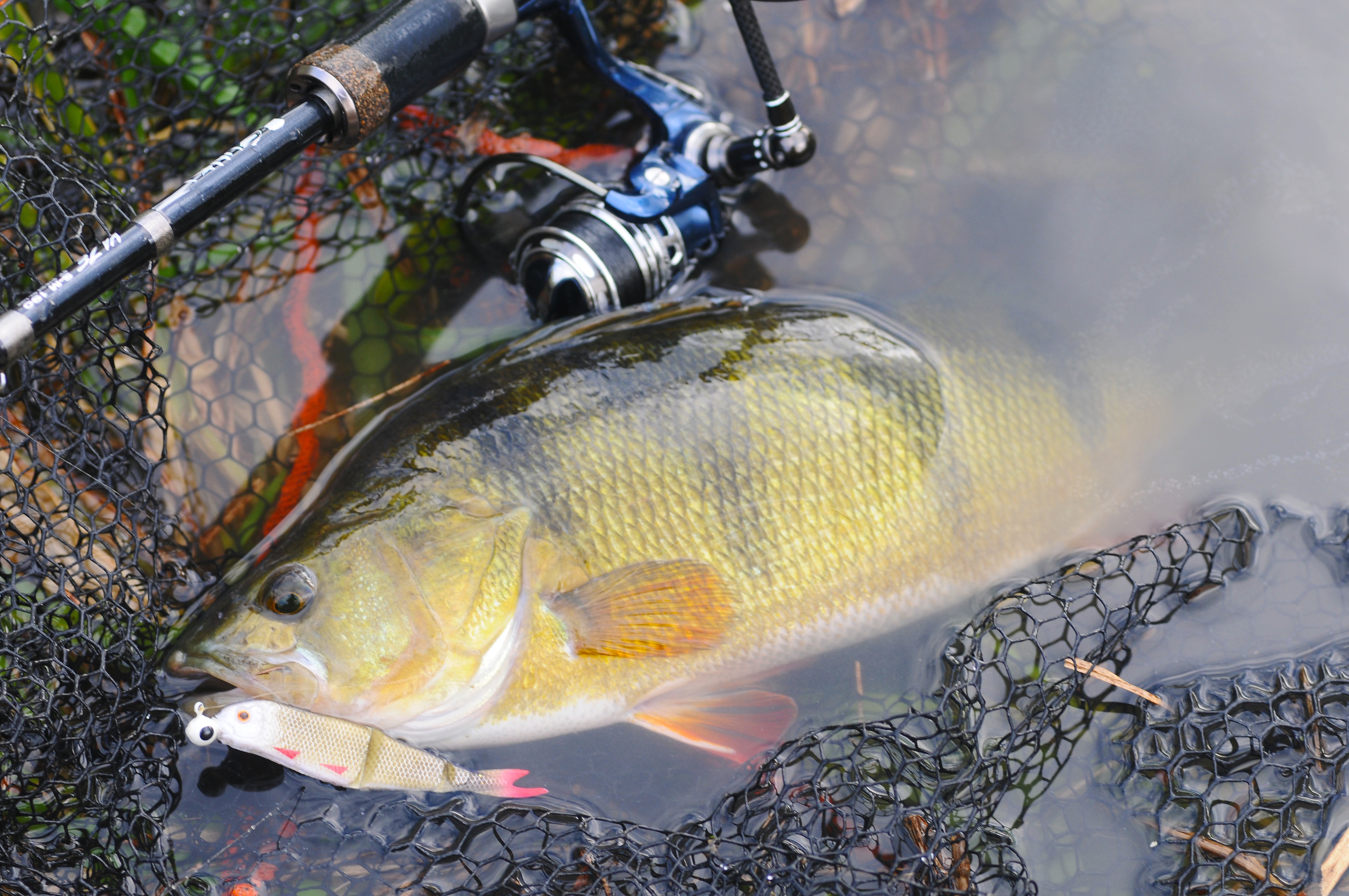 fishing-in-brackish-water-fishing-zealand