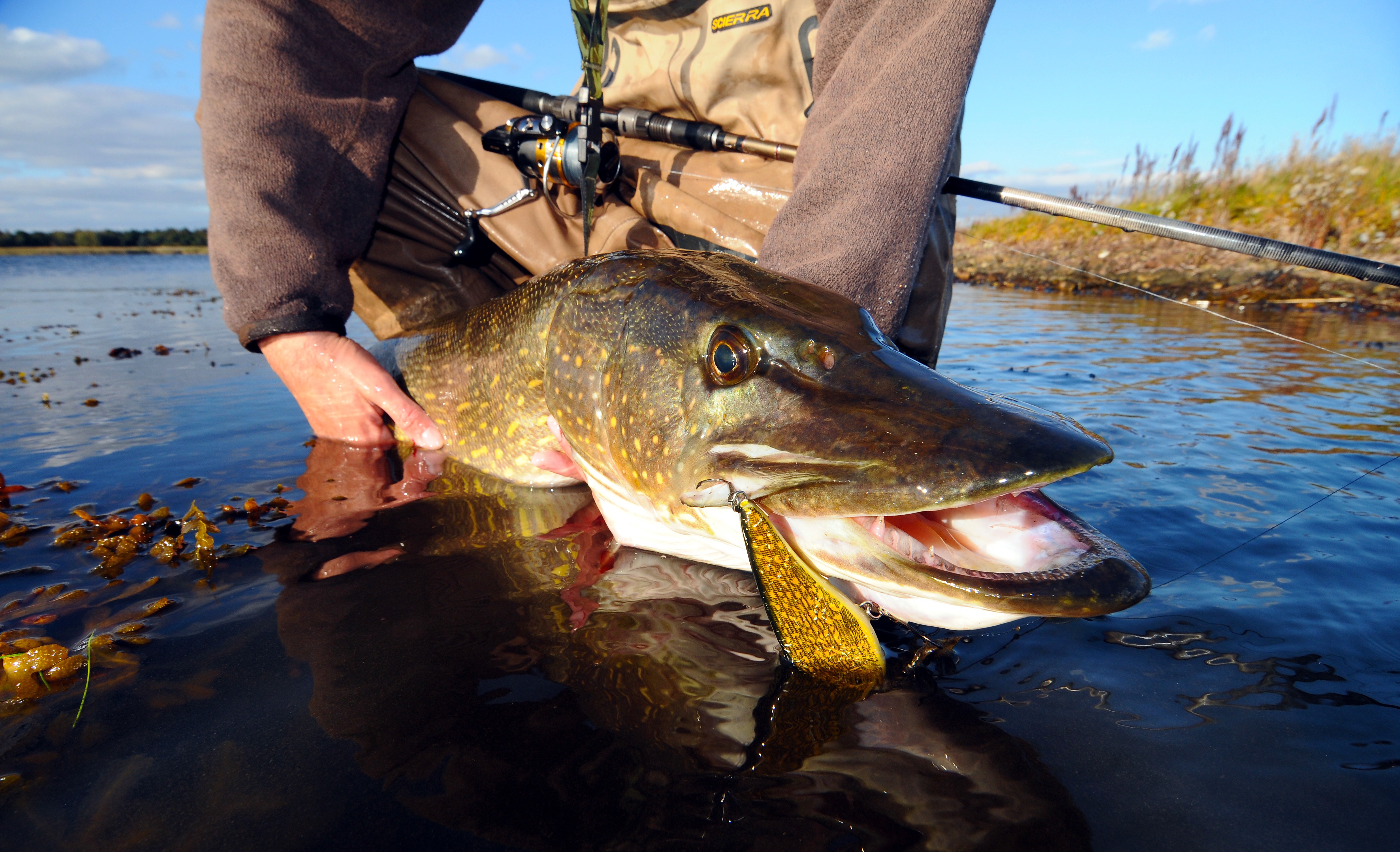 Fishing in brackish water - Fishing Zealand