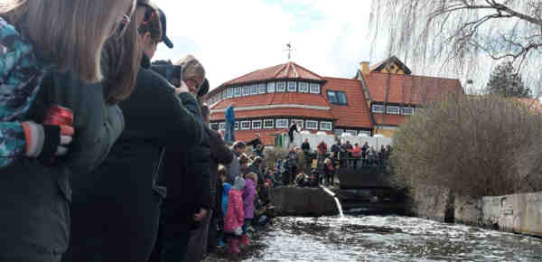 sex næstved Sommerland Sjælland tilbud sex næstved Sommerland Sjælland tilbud