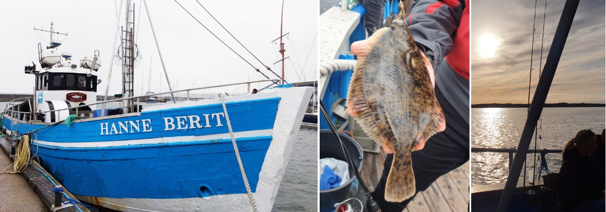 Guidede Fisketure Fra Kutter, Frederikssund Havn I Uge 31 - Fishing Zealand