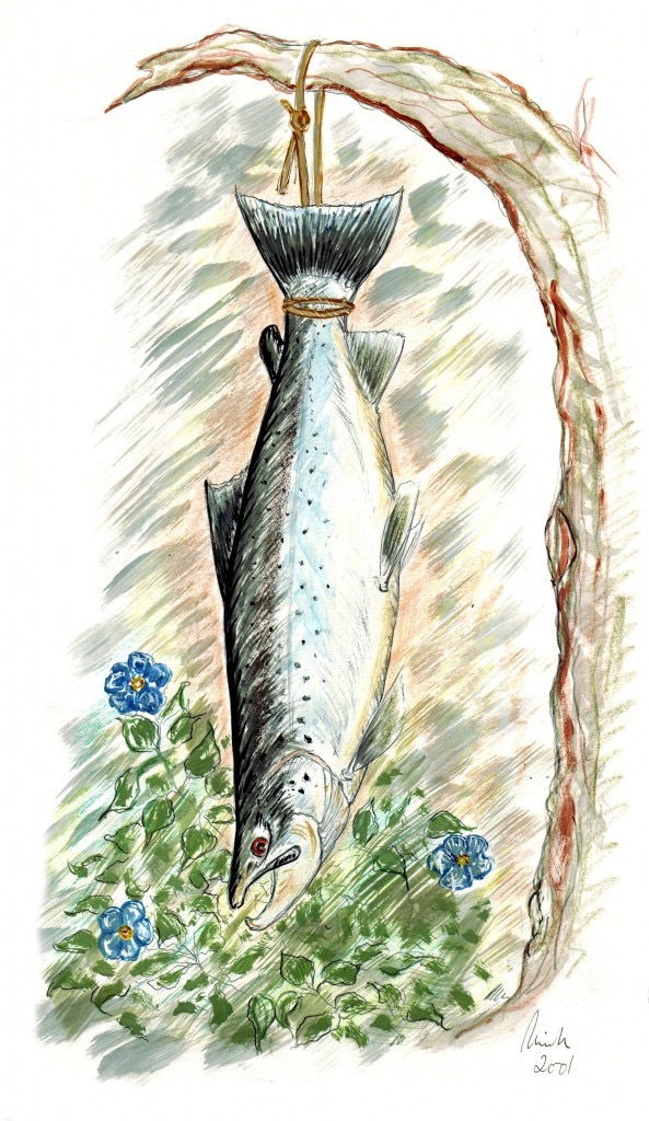 Billed 1, hængende laksefisk