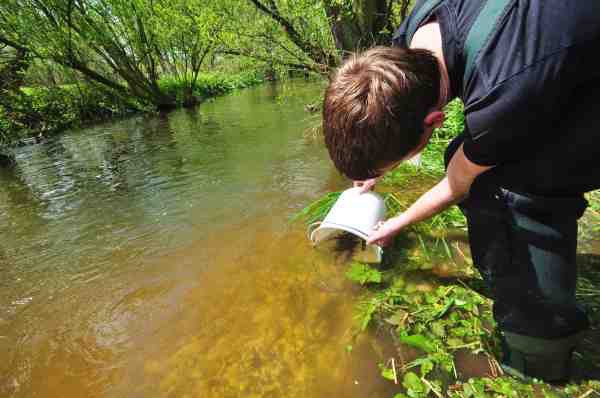 Fishing Zealand works together with numerous volunteers, for example, with the releasing of trout hatchlings.