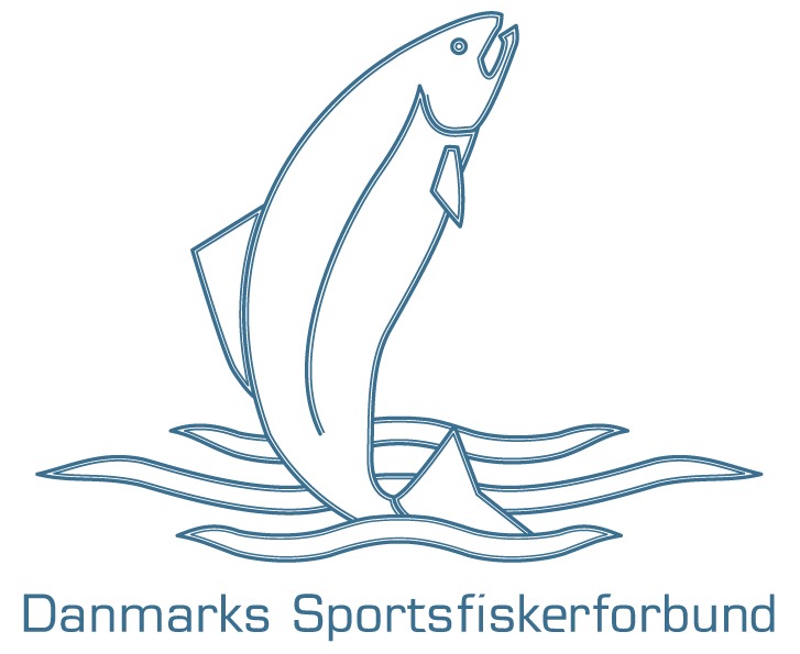 DSF_logo