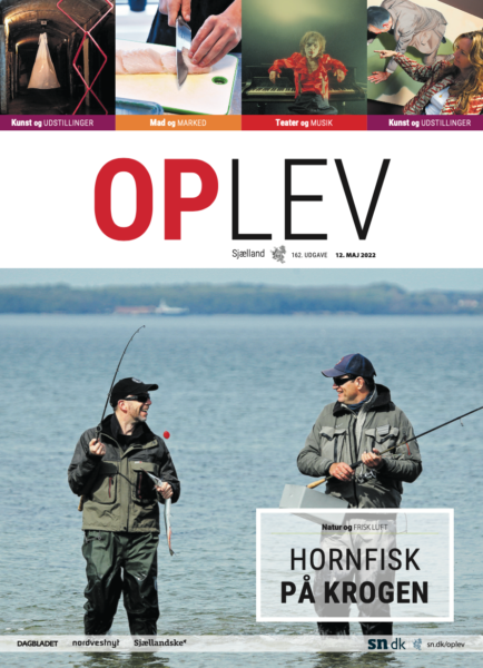Oplev: Hornfisk op krogen, Dagbladet, Maj 2022