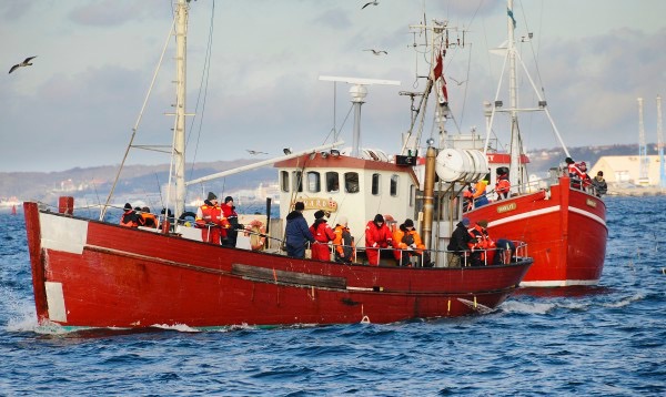 Auf Seeland gibt es viele Charterboote oder Kutter, auf denen man Touren auf Dorsch oder Plattfisch unternehmen kann.